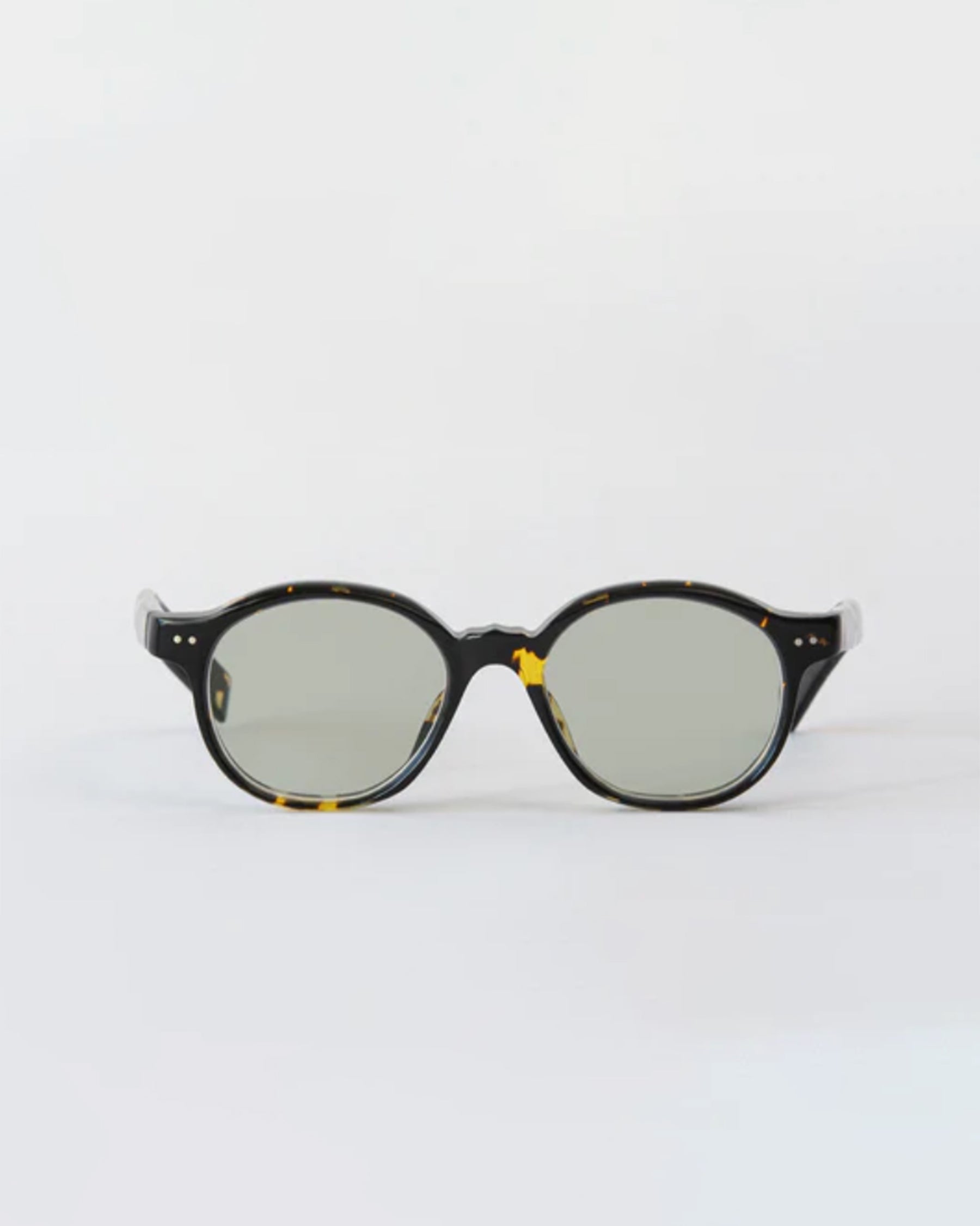 gp-10 Sunglasses ecaille/ Lens: Green