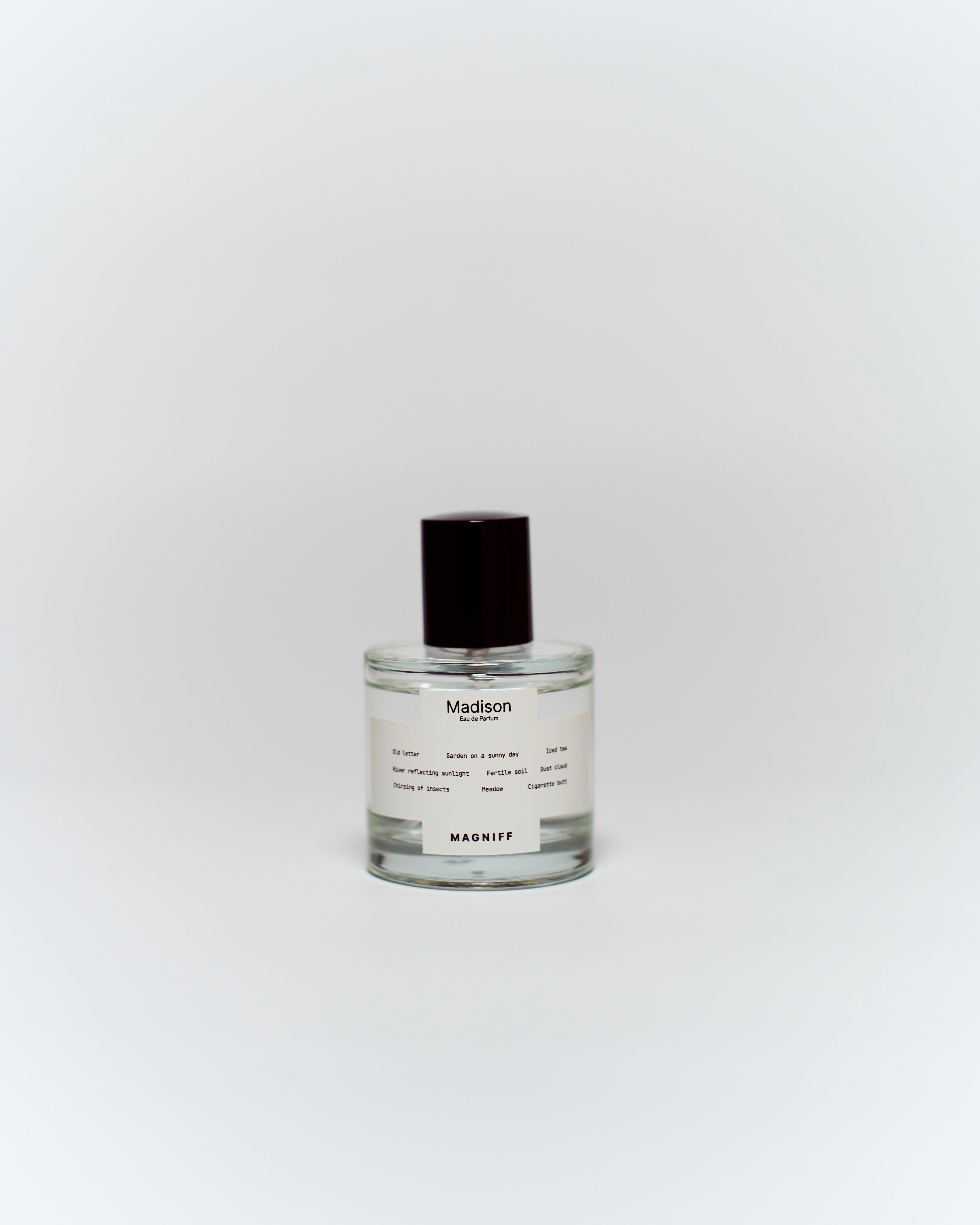 LeSENT ROOM MIST PALMAROSA 