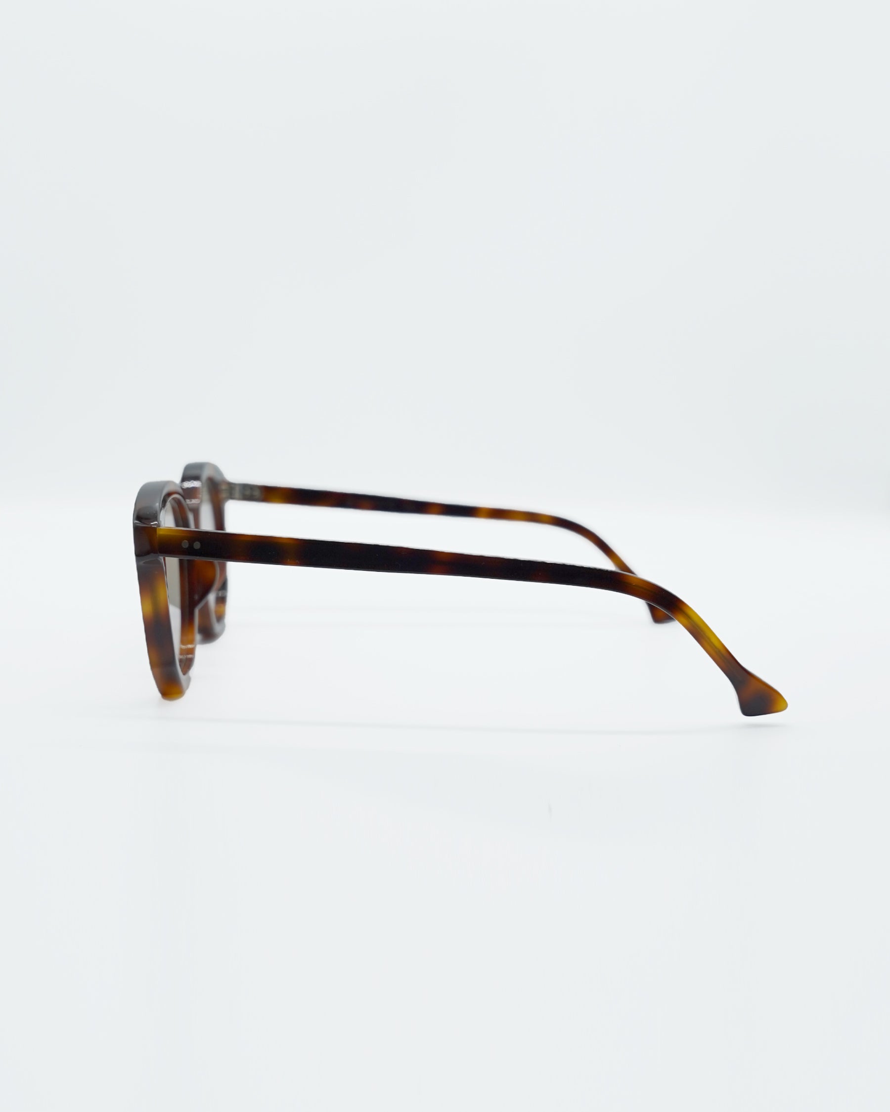gp-04 Sunglasses Brown